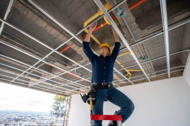 Best Plumbing Inspection Services  in Denton, TX